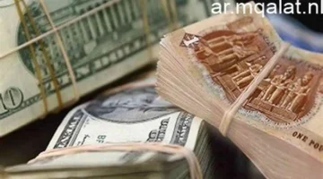 استقرار الصرف.. سعر الدولار مقابل الجنيه في البنوك المصرية خلال تعاملات اليوم